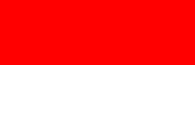  The flag of Indonesia